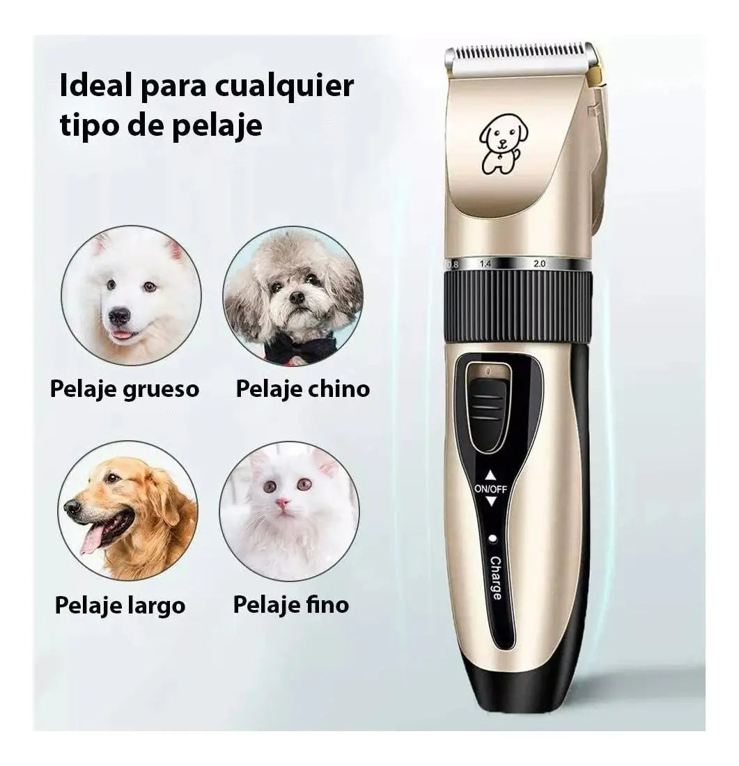 KIT PERRO PELUQUERIA